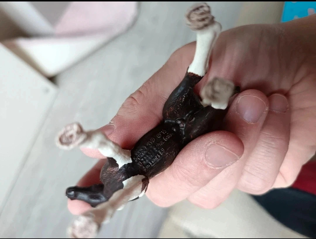 Schleich veulen pinto wit zwart – photo 3